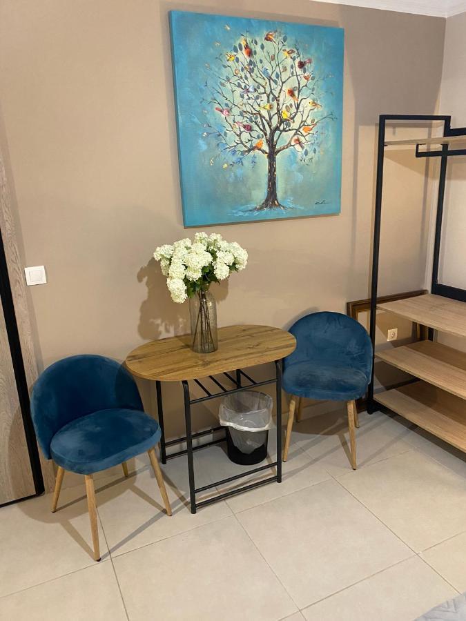 Theo Appartement Athen Extérieur photo